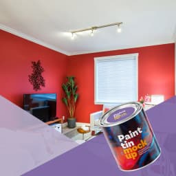 Emulsion Paints